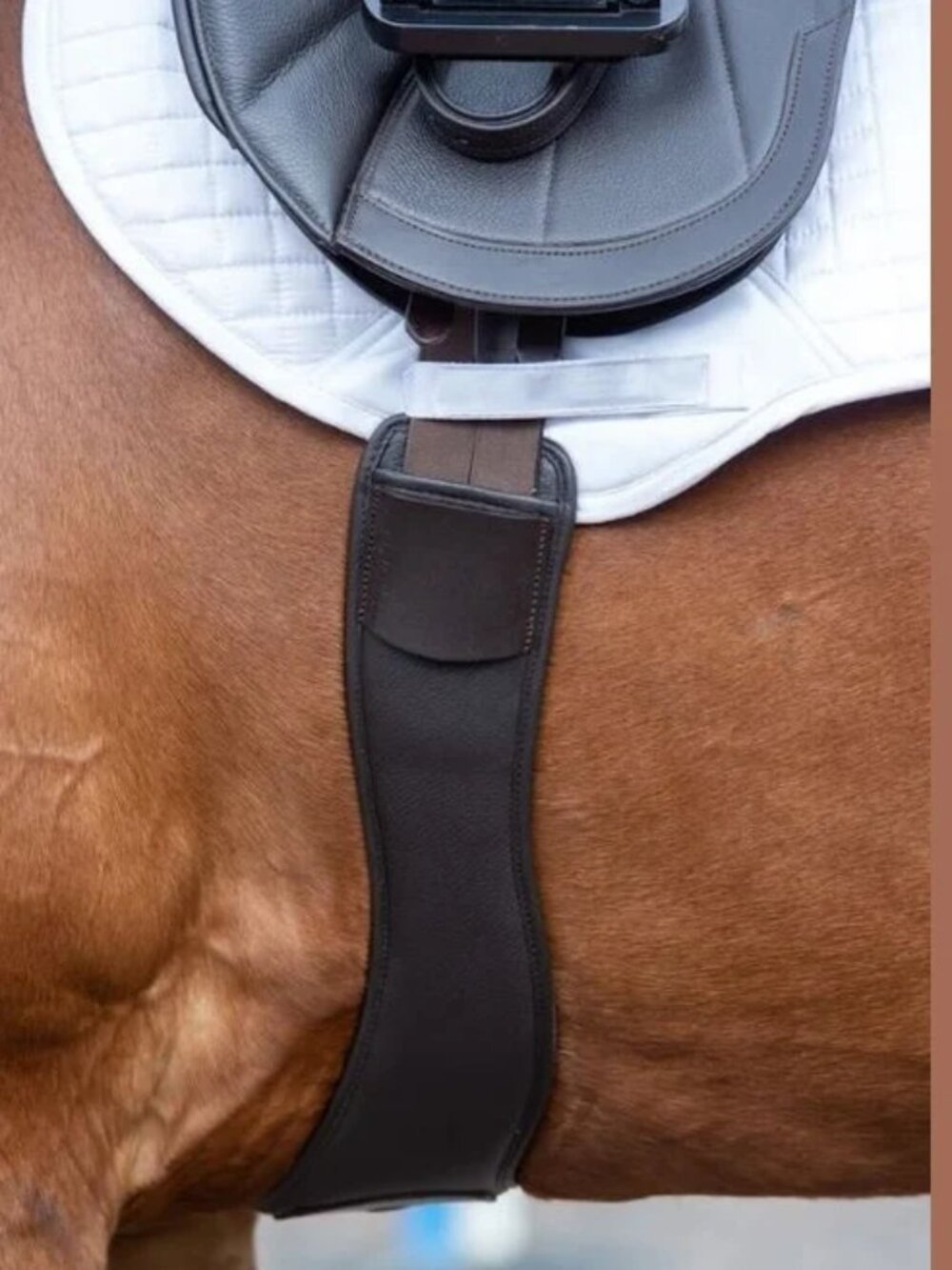 Jumping Long Girth by Kent and Masters - 54"